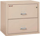 FireKing-2-3122-C-Two-Drawer-Lateral-Fire-File-Cabinet-Champagne