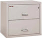 FireKing-2-3122-C-Two-Drawer-Lateral-Fire-File-Cabinet-Platinum