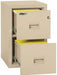 FireKing 2R1822-C Two Drawer Turtle Vertical 22" D Fire File Cabinet Open Stocked