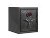 Sanctuary Platinum 2 Home & Office Safe - Everlasting Safes