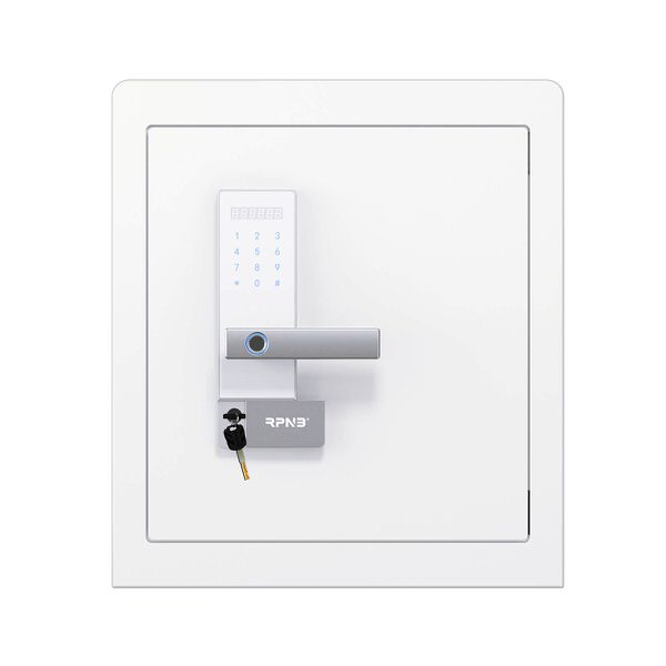 rpnb RPHS45W biometric home safe front facing