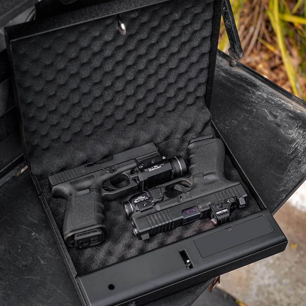 rpnb rp19003 digital keypa handgun safe two pistols