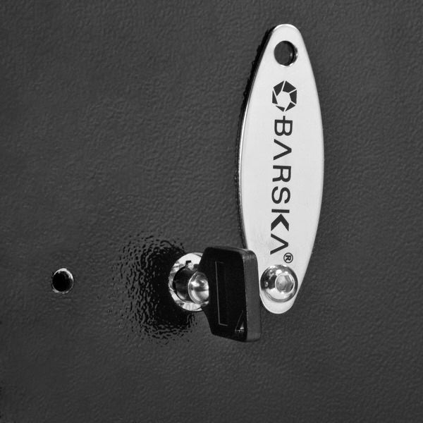 Barska AX11780 Tall Biometric Rifle Safe key lock