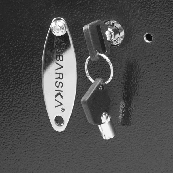 Barska AX13034 Left Opening Biometric Wall Safe keys