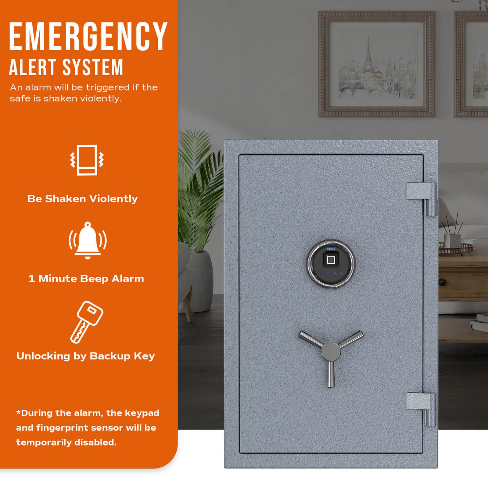 Biometric_Fireproof_Safe_RPFS66G_7